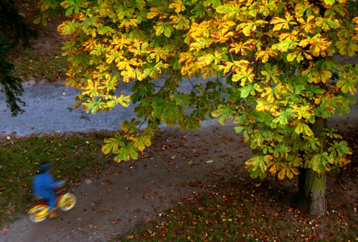 Autumn biker