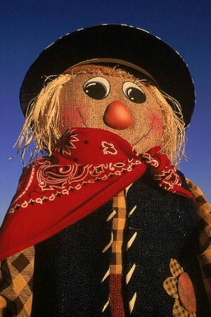 Kerry's Scarecrow 1