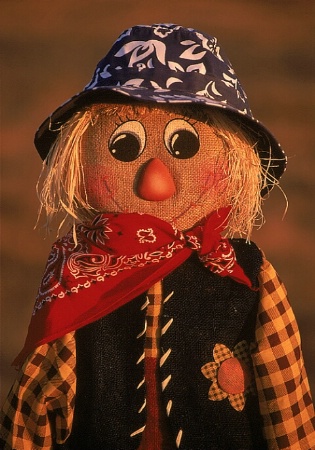 Kerry's Scarecrow 2