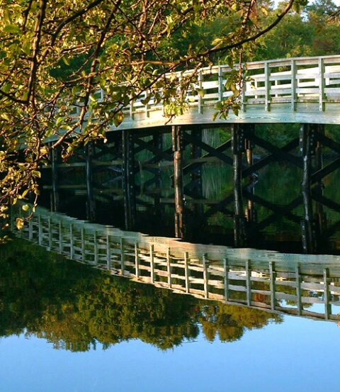  bridge over river