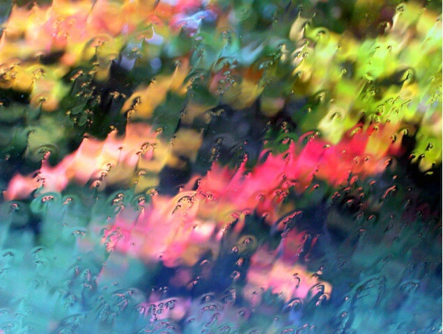 Autumn Rain