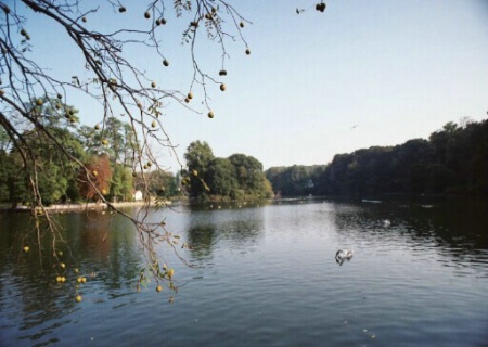 Stony Brook Pond