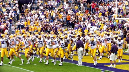 Lsu tigers