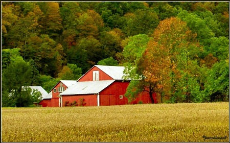 Autumn Transition