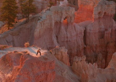 Sunrise at the Canyon