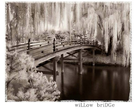 Willow Bridge