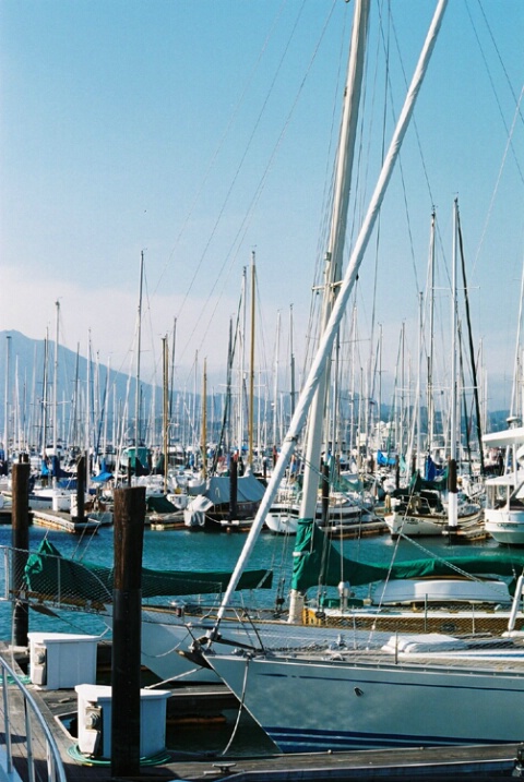 Sea of Sailboats