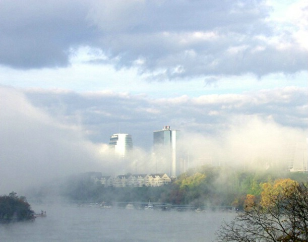 Fall fog III