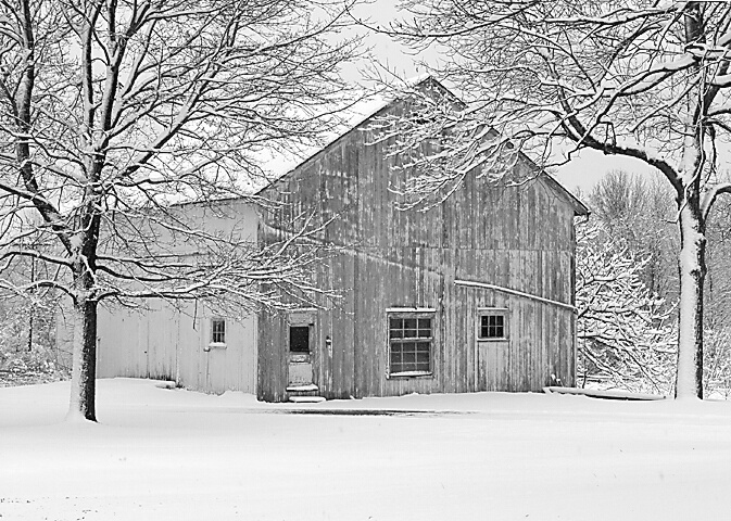 The Old White Barn