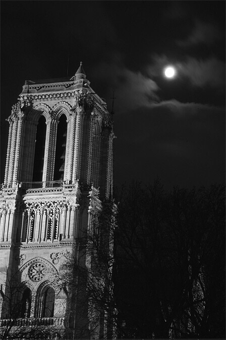 ~ Notre Dame at Night ~