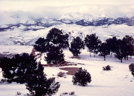 Reno Snowscape