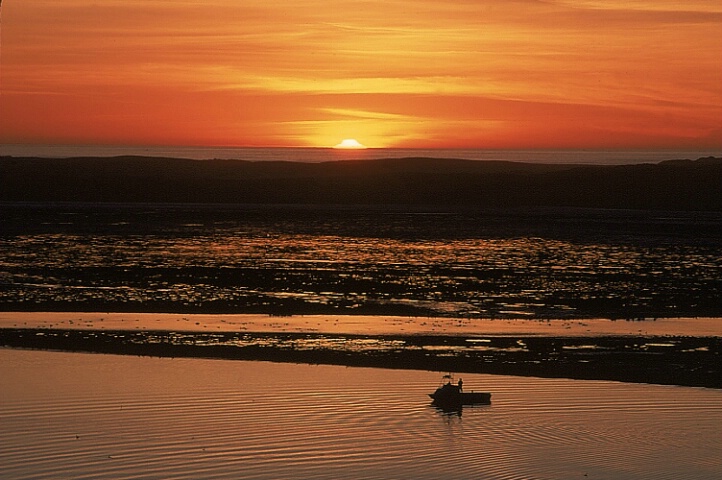 Fisherman Watching Sunset