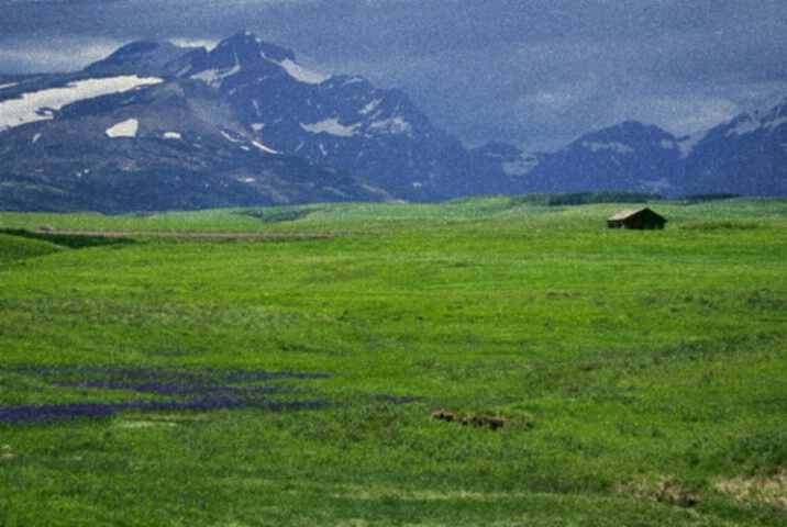 Lone Shack, East Glacier, Montana
