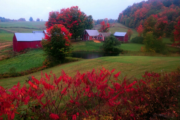 Jenny Farm, Woodstock, Vt.