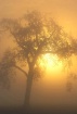 Hidden Valley Sun...