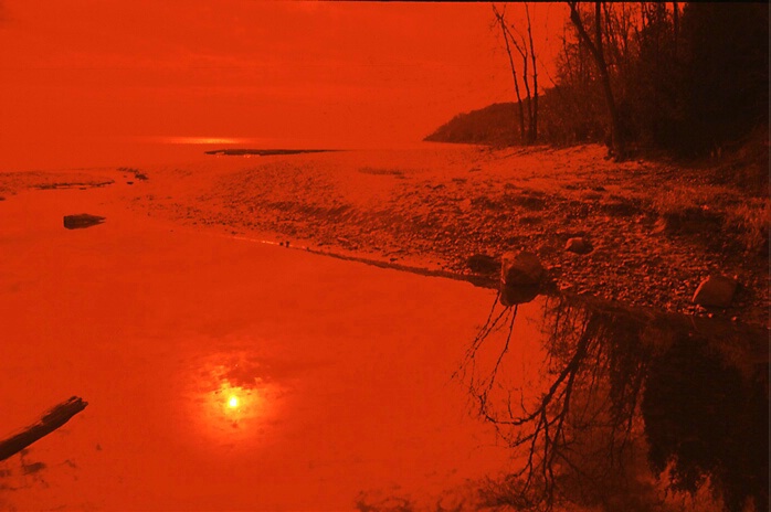 At the Lakeshore - ID: 65940 © John D. Jones