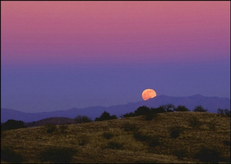 Moonrise Over the Santa Ritas