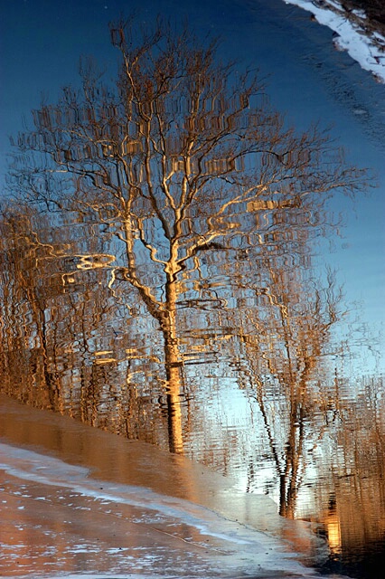 Reflecting On Winter.