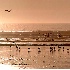 2Sunset At  Pismo  - ID: 76163 © Zita A. Strother