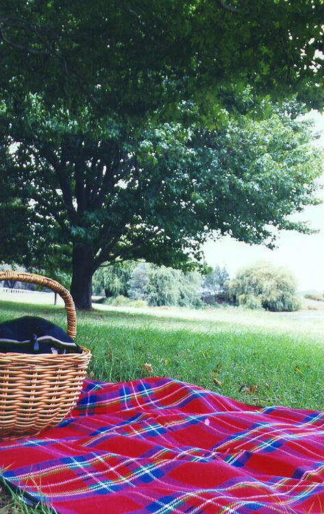 Picnic Blanket & Basket in the Park