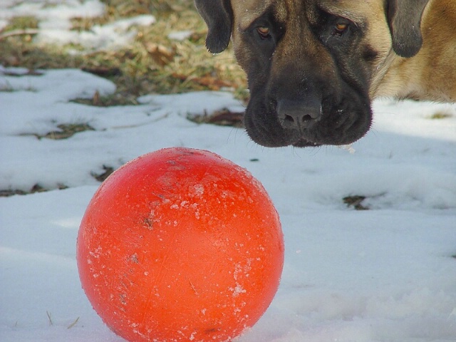 Eyes on the Ball