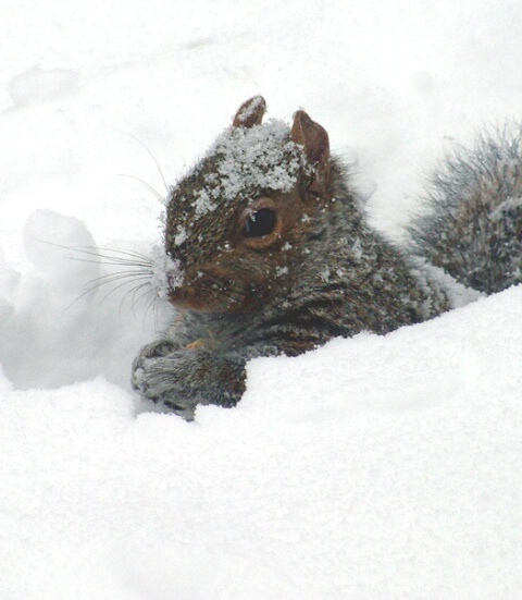 after the blizzard