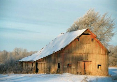 The  Barn
