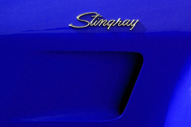 Stingray