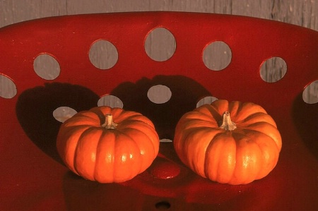 Little Pumpkins 2 ...