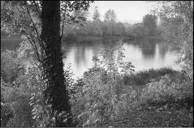 Soft Light on the Willamette