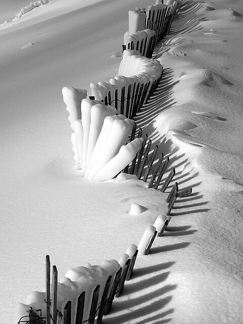 Snow Fence