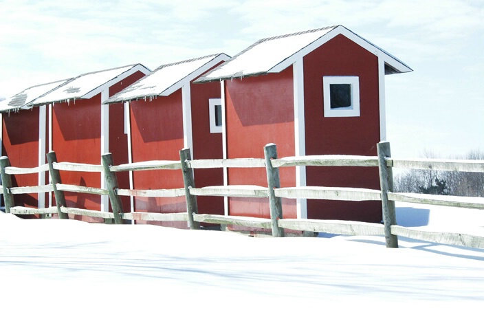 Snow Covered Stalls
