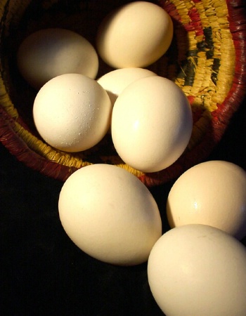 Eggs and Basket