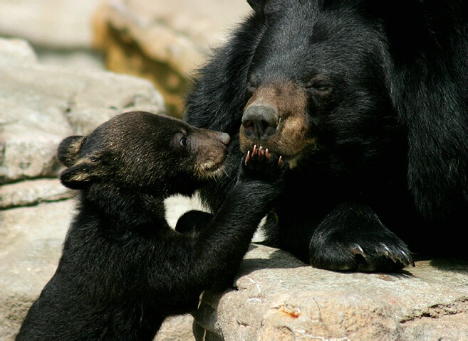 Ssshhh Mommy