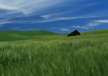 Lone Shack in the Palouse 