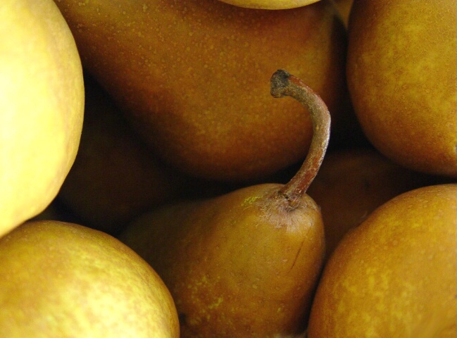 Peek-A-Boo Pear