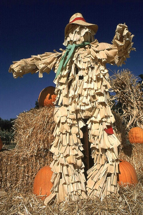 Straw Scarecrow 2b