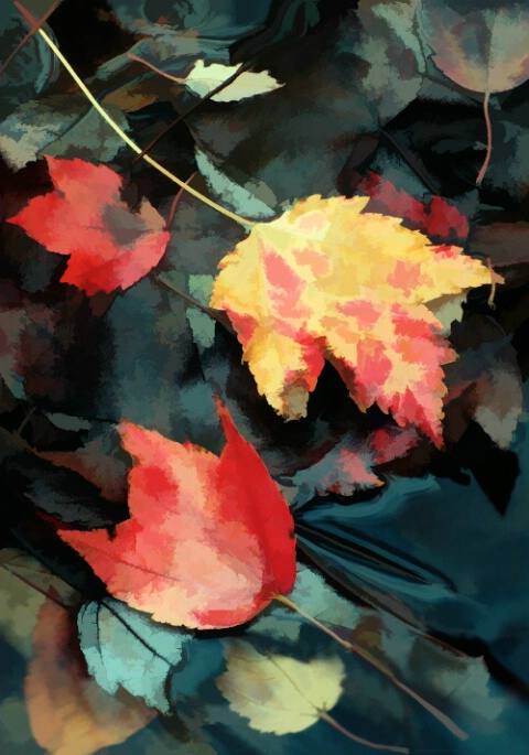 Autumn Leaves 