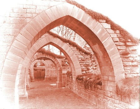 Perfect Arches - Alvastra Klosterkyrkan ruins