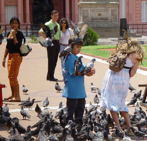 Pigeons and children