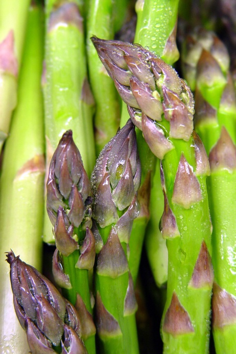 Mother Asparagus