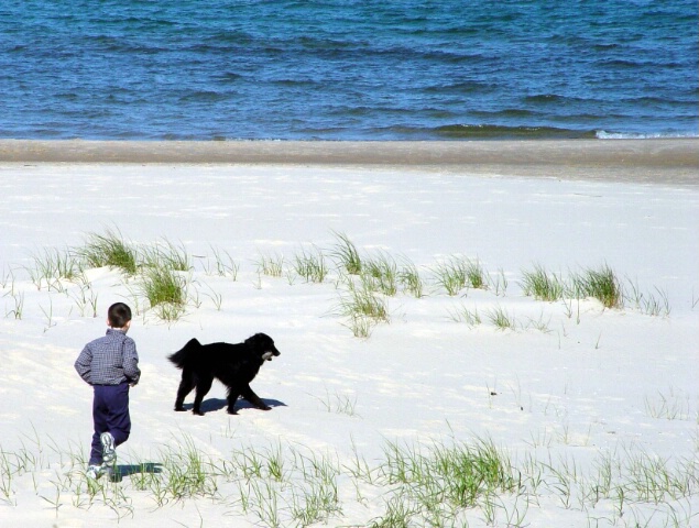 A Boy and His Dog