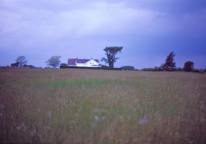 Payne Farm - Block Island