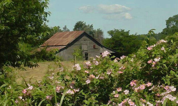 The Barn