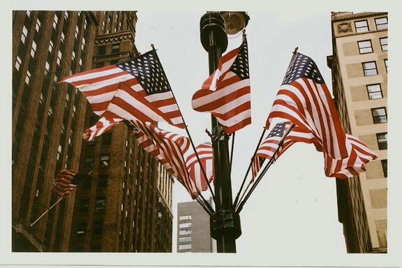 Flags in the City