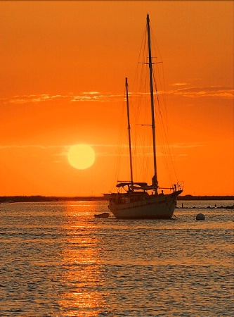 Sailor's Delight