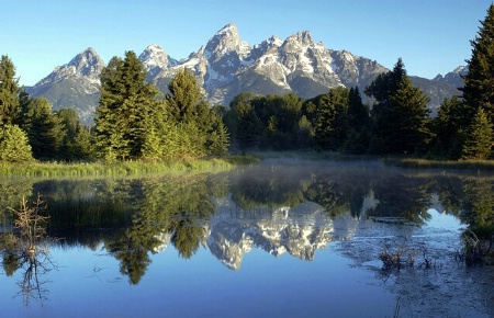 Schwabacher's Landing