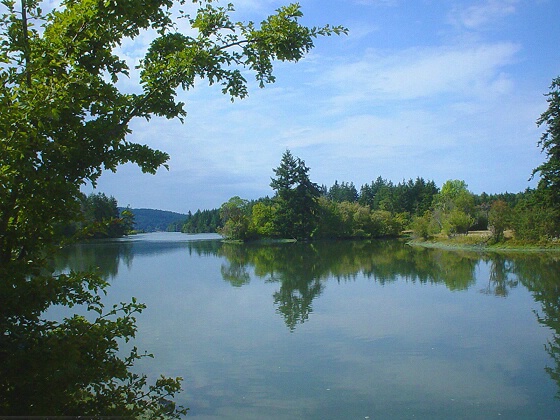 Mud Bay