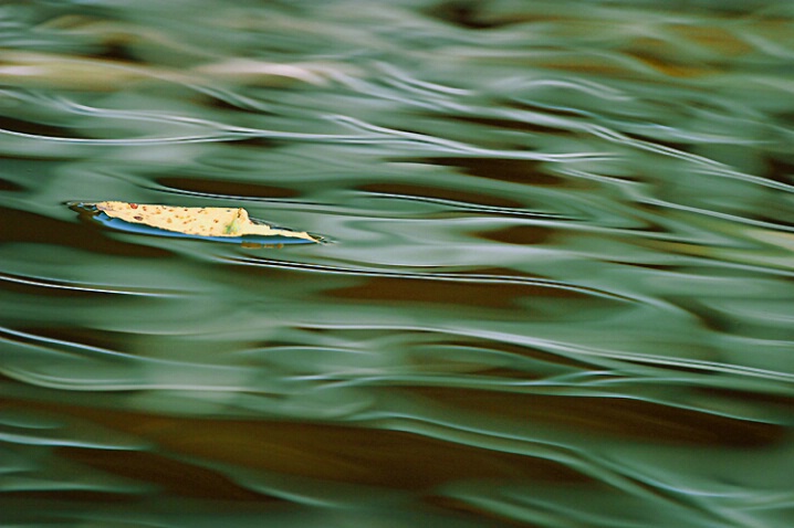 LAKE CURRENT IN MID AUGUST