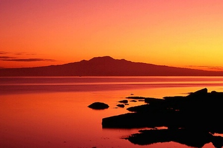 Rangitoto Island